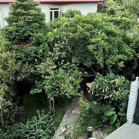 Tj Guest House 马钦加里 外观 照片